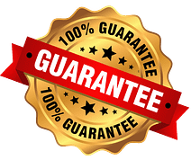 Gold seal with black stars and the text "100% Guarantee" written twice. A red banner with the word "Guarantee" in white bold letters crosses the seal.