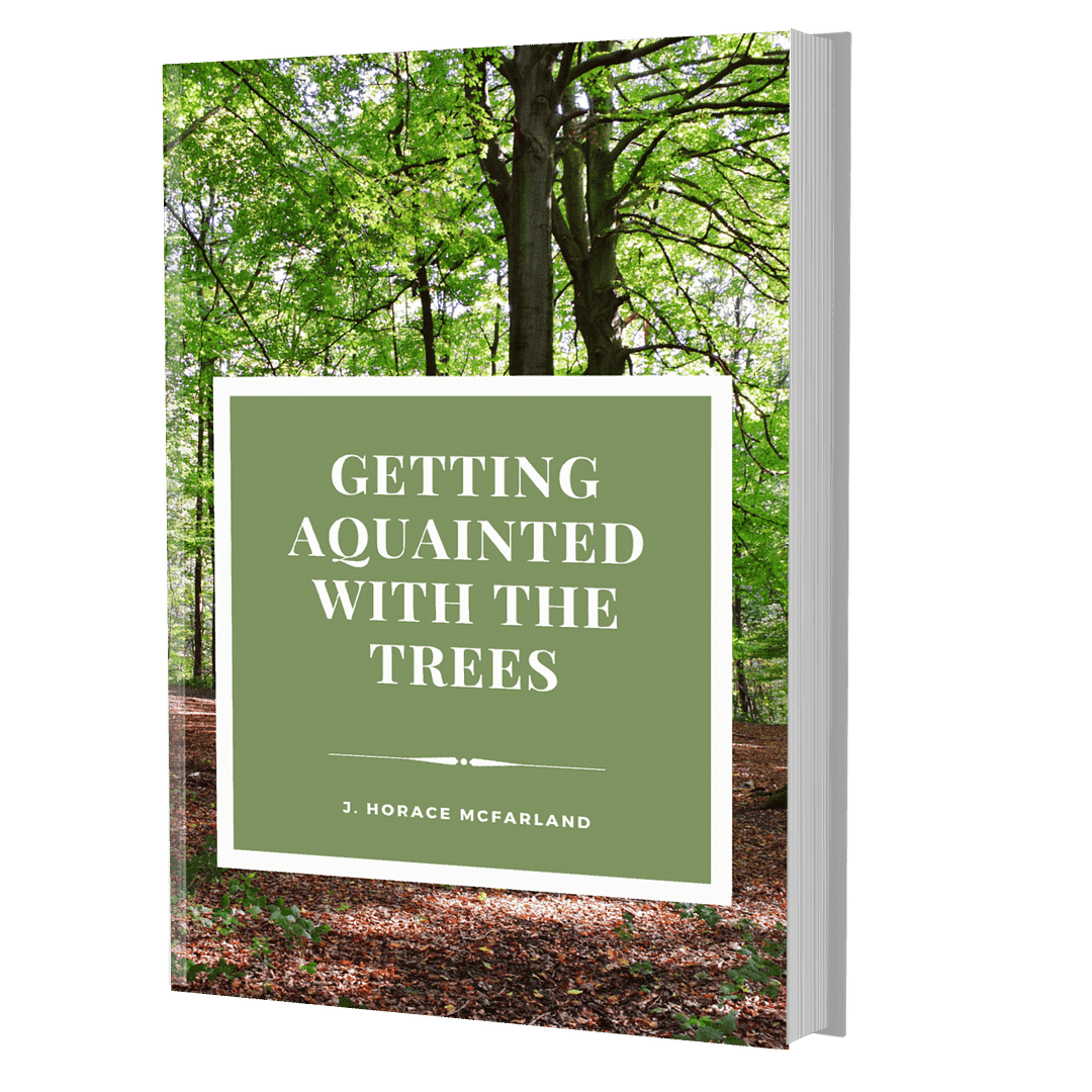Getting aquainted with the trees book