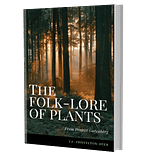 folk-lore-plants-book The Folk-lore of plants softback book