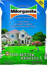 A bag of Milorganite fertilizer is displayed. The packaging highlights features such as slow release, iron-rich, lush lawns, abundant gardens, and trusted for over 90 years. Known for its natural deer control properties, the image shows a large house with a well-maintained lawn, a woman, and a child gardening.