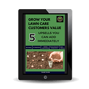 mock-00621-7c32a 5 upsells book on tablet