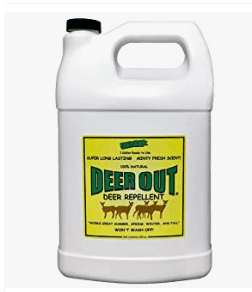 A white gallon container with a black cap is shown. The yellow label on the front reads "Deer Out" in bold green letters and indicates it is a taste-based deer repellent. Below the product name, there are images of deer and text detailing its features and benefits.