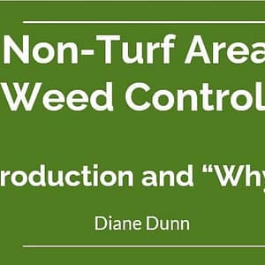 A green slide with white text reads, "Non-Turf Area Weed Control. Introduction and 'Why?' Diane Dunn." The Growing Herbs Consulting logo, featuring a tree with multicolored leaves, is at the bottom left corner.