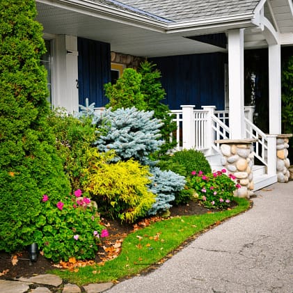 Front-flower-bed6