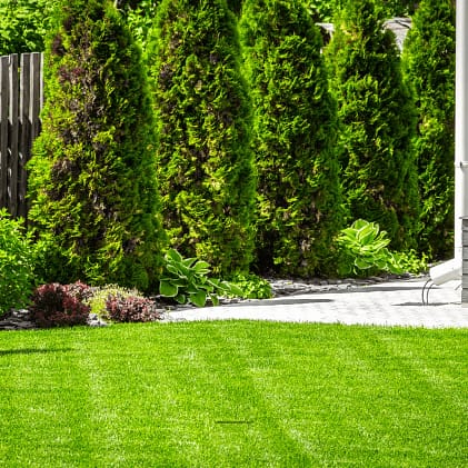 Lawn-and-shrubs2
