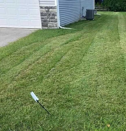 bad-mower-blades lawn mower maintenance needed for blades