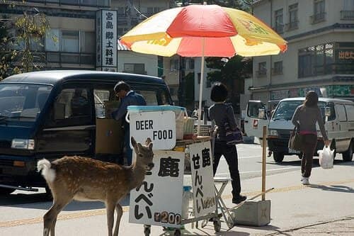 A deer stands next to a street vendor cart selling deer food under a red and yellow umbrella. Two people are interacting with the cart, and various vehicles are parked nearby on a city street. Signs in Japanese are visible in the background, subtly hinting at deer repellent comparisons.