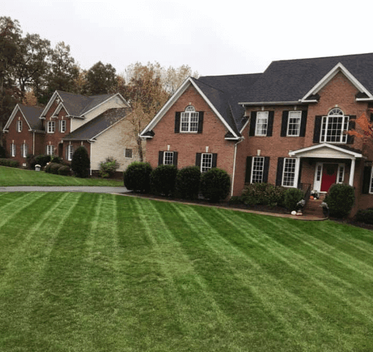 nice-lawn Zoysia turgrass is great when choosing the right turgrass