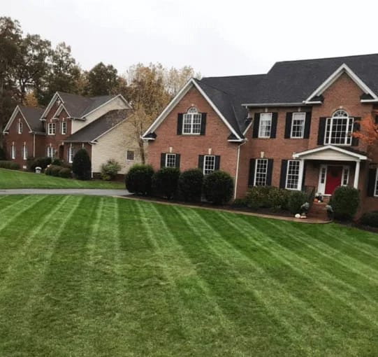 nice-lawn