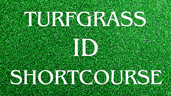 Turf identification course