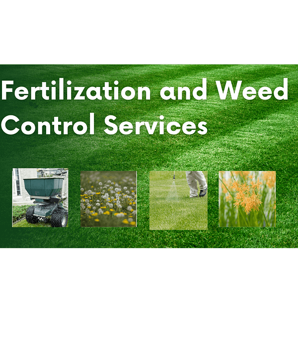 A lush green lawn showcases "Fertilization and Weed Control Services." Below, images display a fertilizer spreader, vibrant flowers amidst the grass, someone applying fertilizer, and a close-up of pesky weeds—all highlighting the essentials of fertilization and weed control.