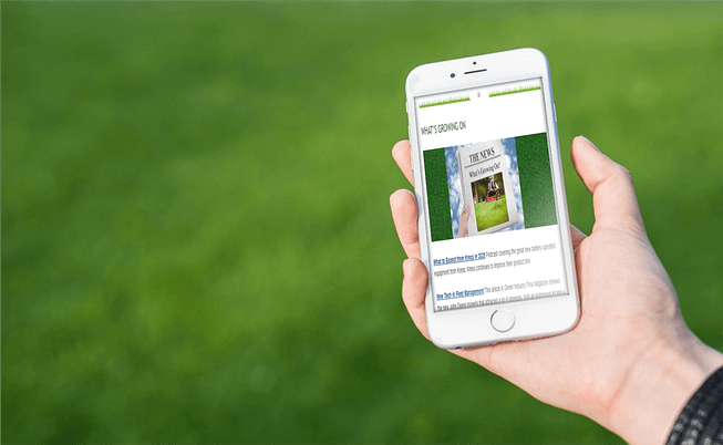 Hand holding a smartphone displaying an article titled "The News" on a blurred green grass background. Hand holding a smartphone displaying an article titled "The News" on a blurred green grass background.