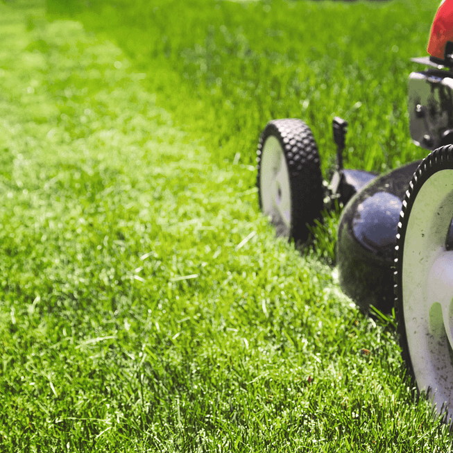 Mower-wheels-on-line