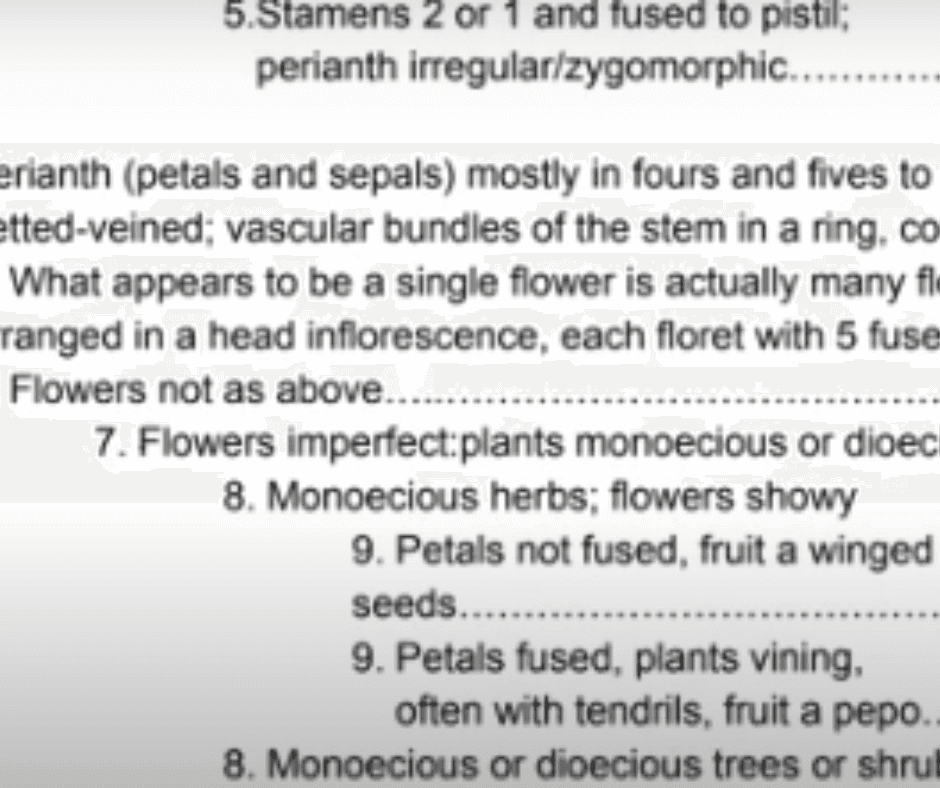 A text document featuring numbered bullet points and various biological terms related to plant structures and flower types, such as stamens, petals, sepals, monoecious, dioecious, and vascular bundles. Some text is partially cut off.
