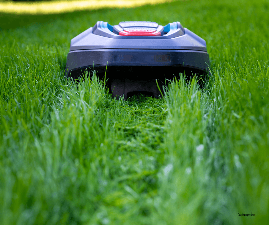 A robotic lawn mower trims fresh green grass, creating distinct lines on a sunny day. The mower's sleek design contrasts with the vibrant, well-manicured lawn.