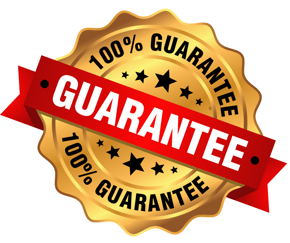 Gold seal with black stars and the text "100% Guarantee" written twice. A red banner with the word "Guarantee" in white bold letters crosses the seal.